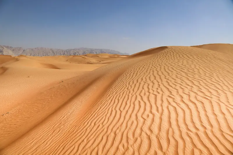 Rippled red-gold dunes in the UAE desert