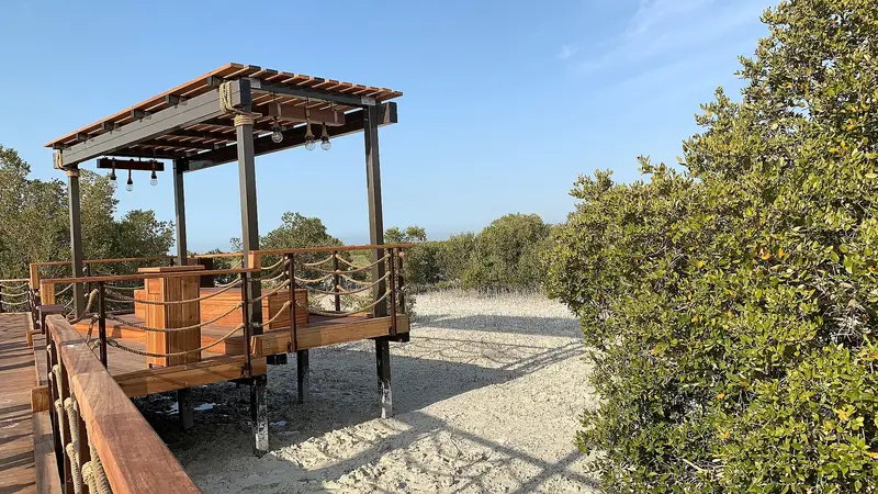 A timber viewing deck among the mangroves at Jubail Mangrove Park, Abu Dhabi